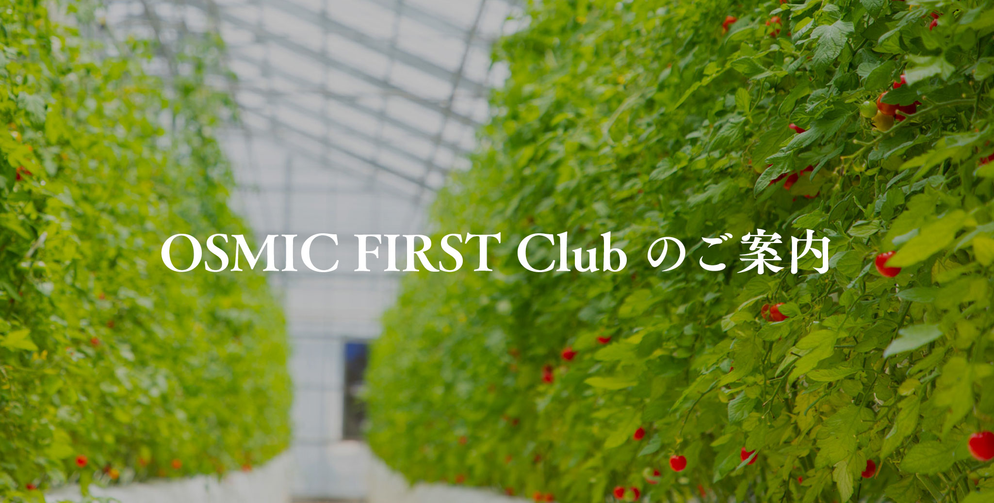 OSMIC FIRST Club のご案内